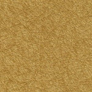 Corn Field Wallcovering