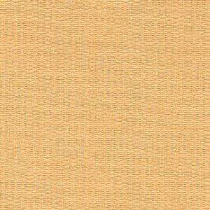 Dawns Peach Wallcovering