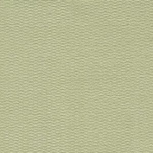 Canvas Lividness Wallcovering