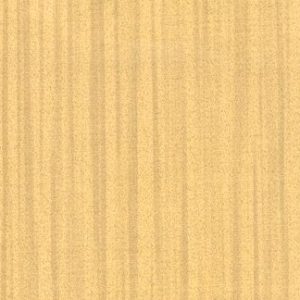 Beige Floss Wallcovering