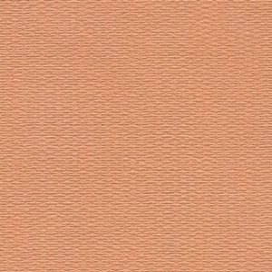 Canvas Strawberry Wallcovering