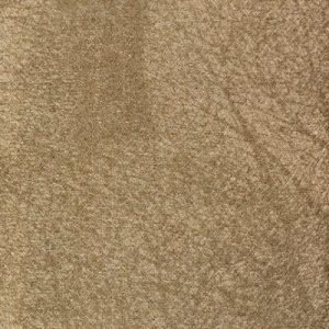 Mystery Forest Wallcovering