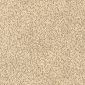 Driven Snow Wallcovering