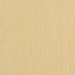 Shoreland Winter Wallcovering