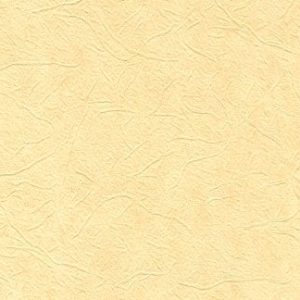 Plain Impression Wallcovering