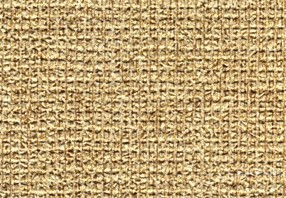 Weathered Starfish Wallcovering