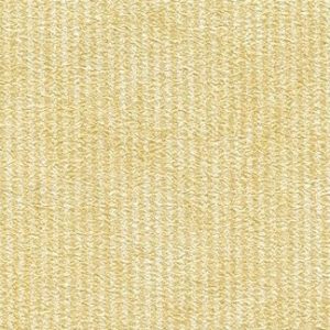 Pastel Border Amber Wallcovering