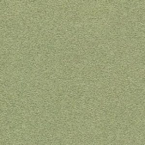 Speckled Madness Wallcovering
