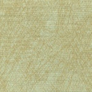 Fossil Foil Wallcovering