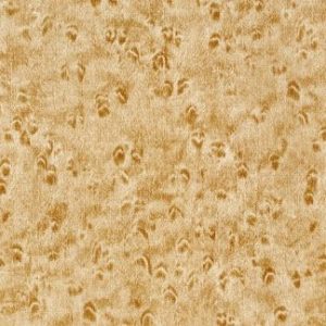 Pine Wood Oak Wallcovering