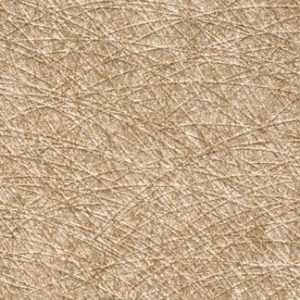 Watery Clouds Wallcovering