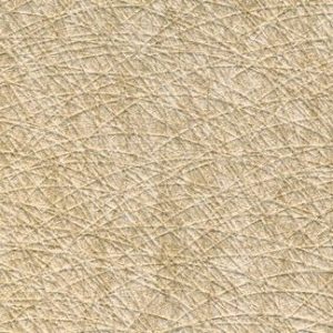 Scrabbled Paper Wallcovering