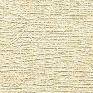 Steamy Window Wallcovering
