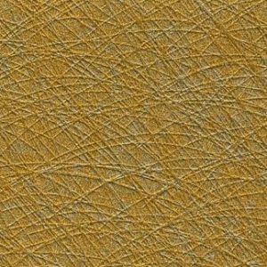 Goldilocks Wallcovering